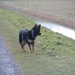 jethro 26-03-2008 (390)