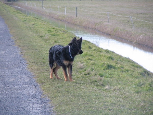 jethro 26-03-2008 (390)