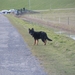 jethro 26-03-2008 (392)