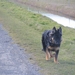 jethro 26-03-2008 (393)
