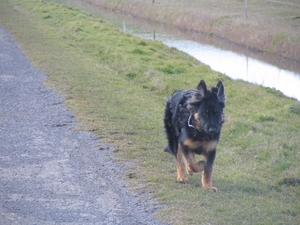 jethro 26-03-2008 (393)