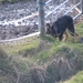jethro 26-03-2008 (394)