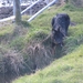 jethro 26-03-2008 (396)