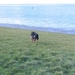 jethro 26-03-2008 (399)