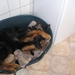 jethro 29-03-2008 (400)