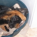 jethro 29-03-2008 (401)