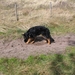 jethro 31-03-2008 (407)