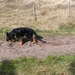 jethro 31-03-2008 (408)
