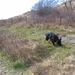 jethro 31-03-2008 (410)