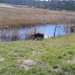 jethro 31-03-2008 (416)