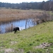 jethro 31-03-2008 (421)