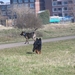 jethro 31-03-2008 (426)