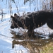 jethro 31-03-2008 (427)
