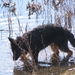 jethro 31-03-2008 (428)