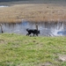 jethro 31-03-2008 (484)