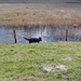jethro 31-03-2008 (485)