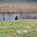 jethro 31-03-2008 (487)