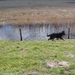 jethro 31-03-2008 (489)