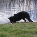 jethro 31-03-2008 (494)
