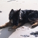 jethro 5-03-2008 (10)