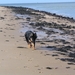 jethro 5-03-2008 (12)