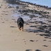 jethro 5-03-2008 (13)