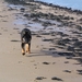 jethro 5-03-2008 (14)