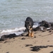 jethro 5-03-2008 (15)