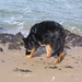 jethro 5-03-2008 (16)