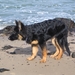 jethro 5-03-2008 (17)