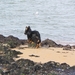jethro 5-03-2008 (18)
