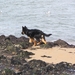 jethro 5-03-2008 (19)
