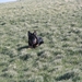 jethro 5-03-2008 (29)