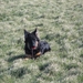 jethro 5-03-2008 (30)