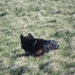 jethro 5-03-2008 (31)
