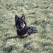 jethro 5-03-2008 (32)