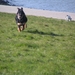 jethro 5-03-2008 (34)