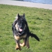 jethro 5-03-2008 (35)