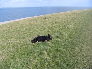 jethro 5-03-2008 (41)