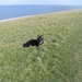 jethro 5-03-2008 (42)