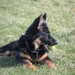 jethro 5-03-2008 (45)