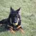 jethro 5-03-2008 (46)