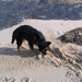 jethro 5-03-2008 (47)