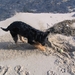 jethro 5-03-2008 (48)