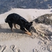 jethro 5-03-2008 (49)