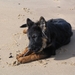jethro 5-03-2008 (5)