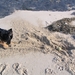 jethro 5-03-2008 (52)