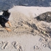 jethro 5-03-2008 (53)