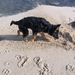 jethro 5-03-2008 (54)