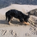 jethro 5-03-2008 (56)